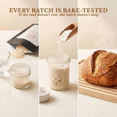 KNEVA Dehydrated Dry Sourdough Starter 20g | Bake Sourdough Bread at Home | Singapore Cultured