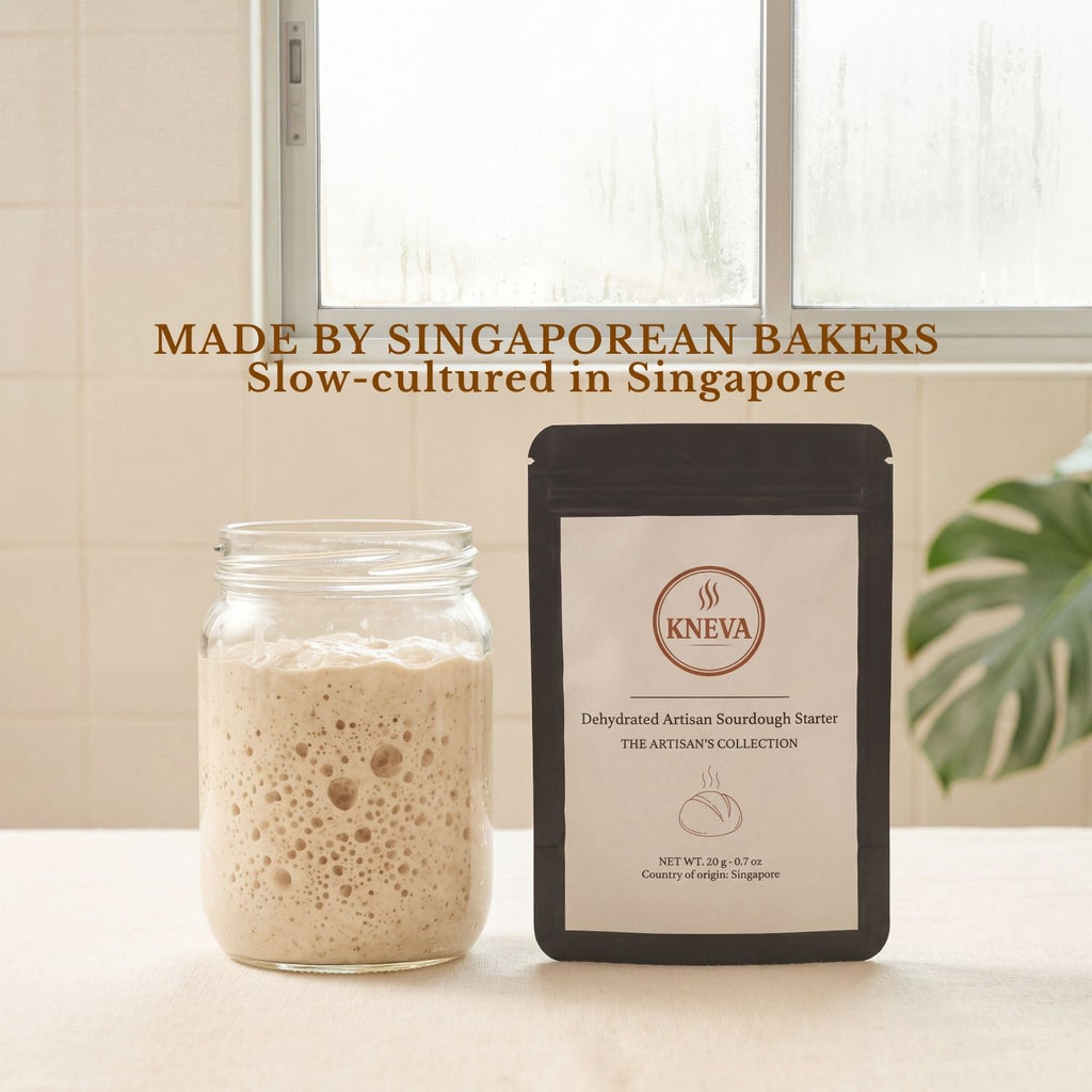 KNEVA Dehydrated Dry Sourdough Starter 20g | Bake Sourdough Bread at Home | Singapore Cultured